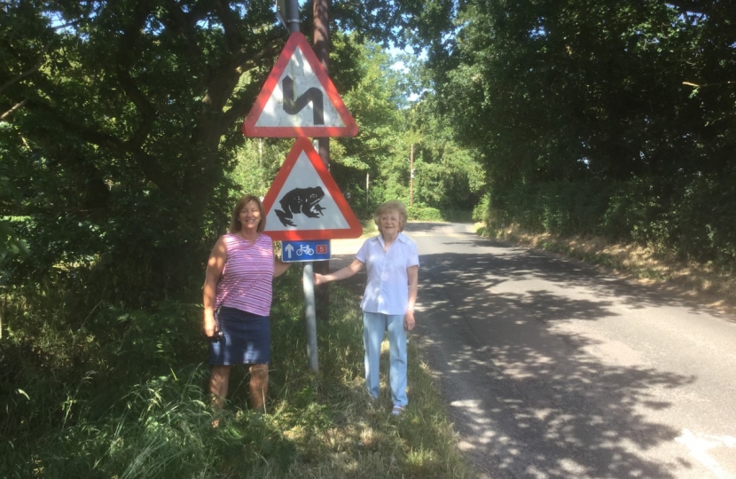 Odd Rode Frog Protection Road Signs