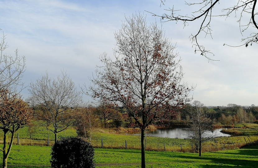 Wychwood Village Country Park