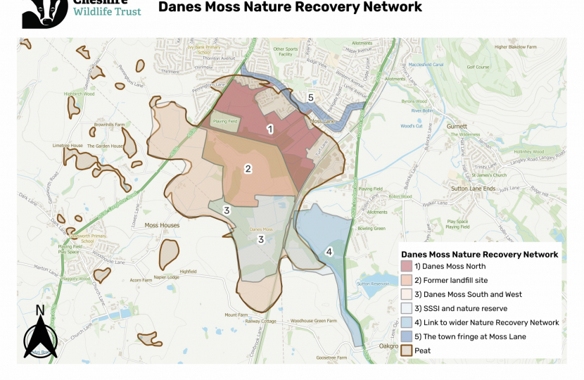 CWT: Vision for Danes Moss 12.2022